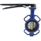 Waterline DN100 OEM Ductile Iron Butterfly Valve